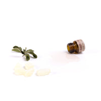 Meilleurs Ventes de Mastic